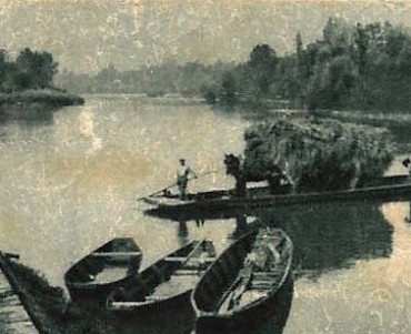 11550.jpg