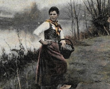 11762.jpg
