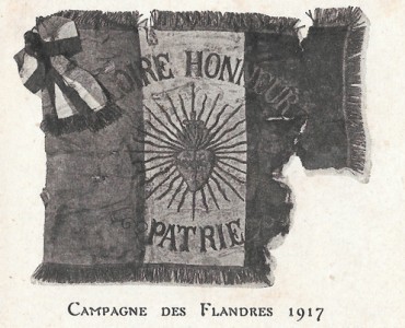 13164.jpg