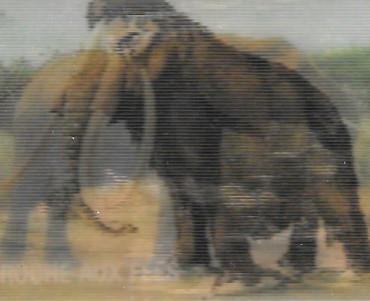 13201.jpg