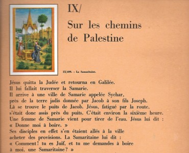 13534.jpg