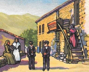 13554.jpg