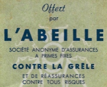 1361.jpg
