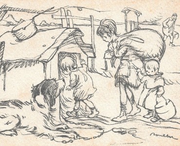 13678.jpg