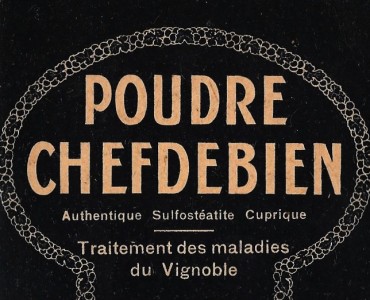 1382.jpg