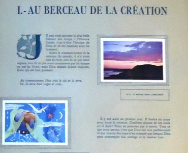 14146.jpg