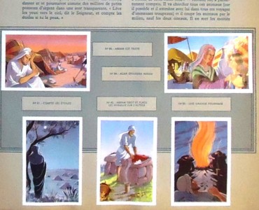 14147.jpg