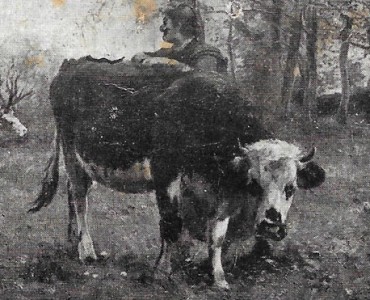 14204.jpg