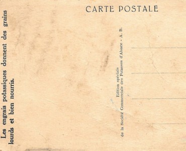 14661.jpg