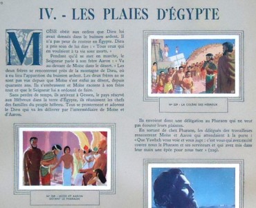 14952.jpg