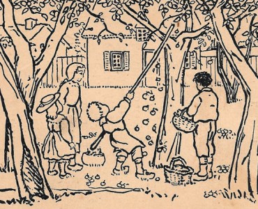 15276.jpg