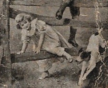 1539.jpg