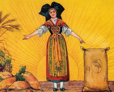 15441.jpg