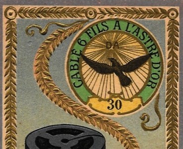 15572.jpg