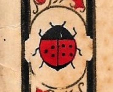 1566.jpg