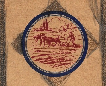 16157.jpg