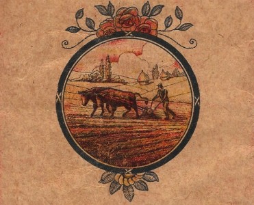 16159.jpg