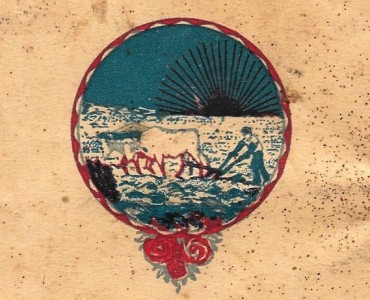16161.jpg