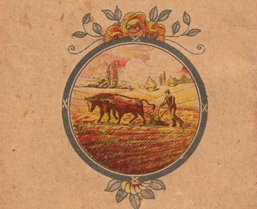 16164.jpg