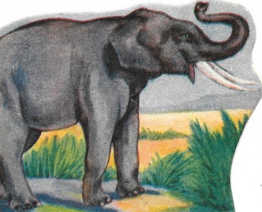 16247.jpg