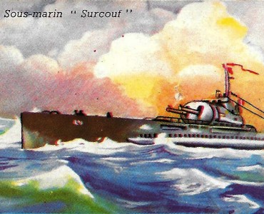 16737.jpg