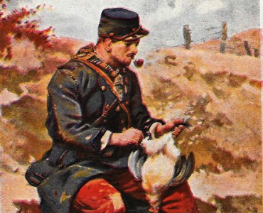 16779.jpg