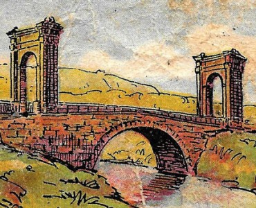 16974.jpg