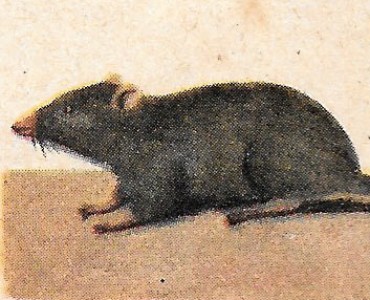 16986.jpg