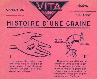 17192.jpg