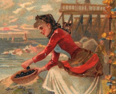 17306.jpg