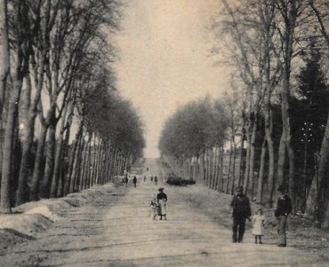 17410.jpg
