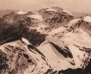 17467.jpg