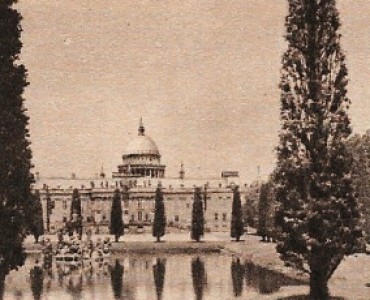 17491.jpg