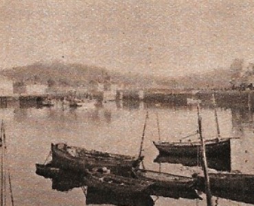 17496.jpg