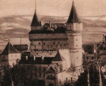 17499.jpg