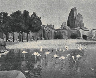 17545.jpg