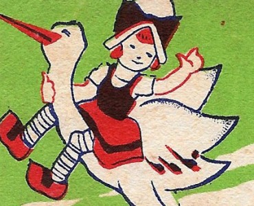 17549.jpg