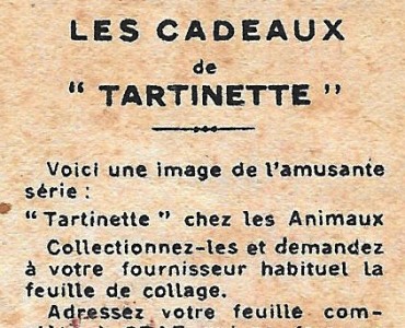 17550.jpg
