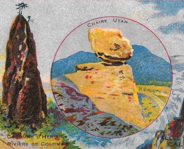 17558.jpg