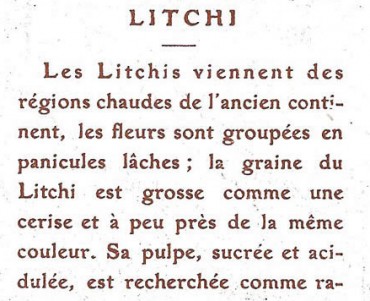 17631.jpg
