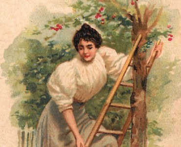 17648.jpg