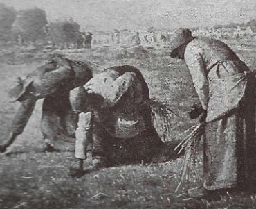 1781.jpg