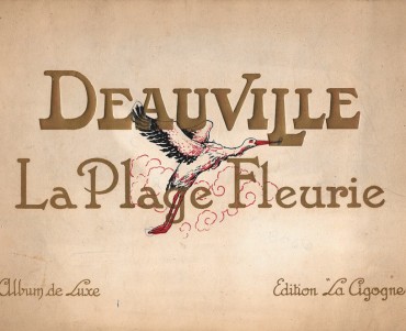 17855.jpg
