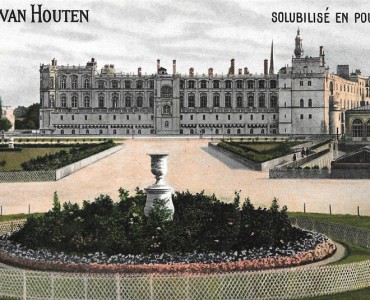 17955.jpg