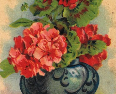 17963.jpg
