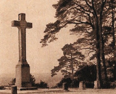 17972.jpg