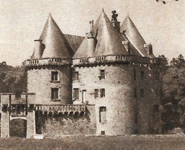 17975.jpg