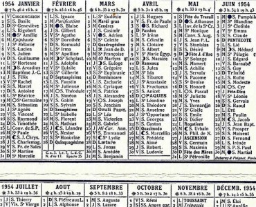 17976.jpg