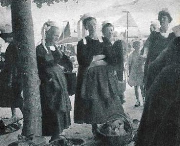 18267.jpg