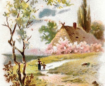 18364.jpg